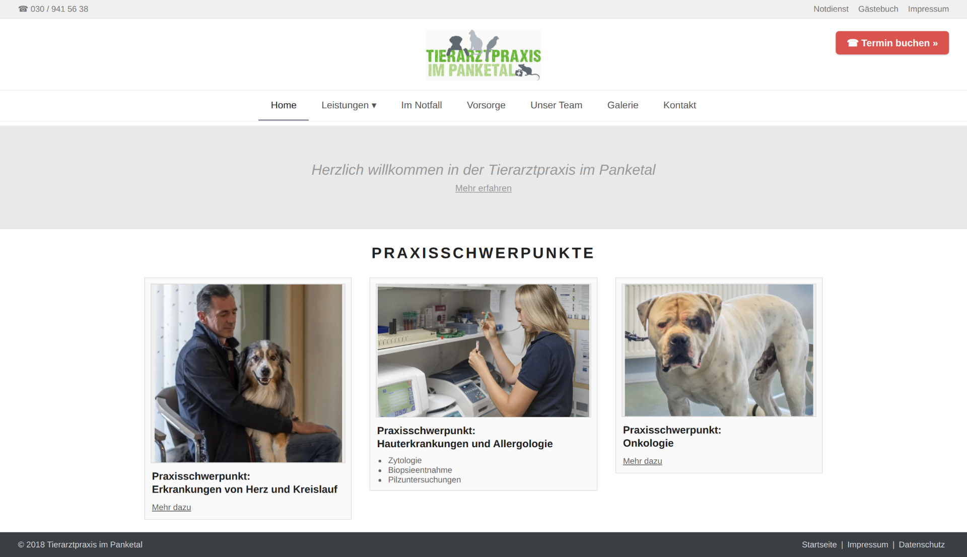 Alte Website der Pflegedienst im Panketal - veraltetes Layout, kleine Schrift, nicht mobil-optimiert